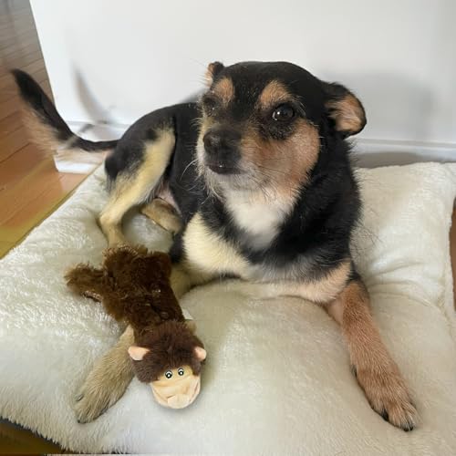 2-in-1 Stuffless Squeaky Dog Toy - Monkey, Large (Brown Monkey / Large)