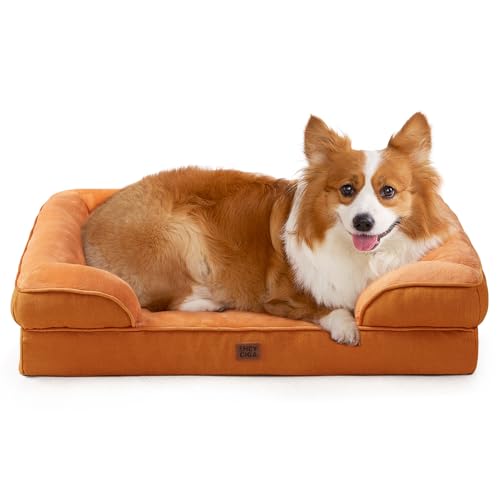 Orthopedic Dog Beds Large Sized Dog (Pumpkin Orange / 35.0"l X 22.0"w X 6.5"th)