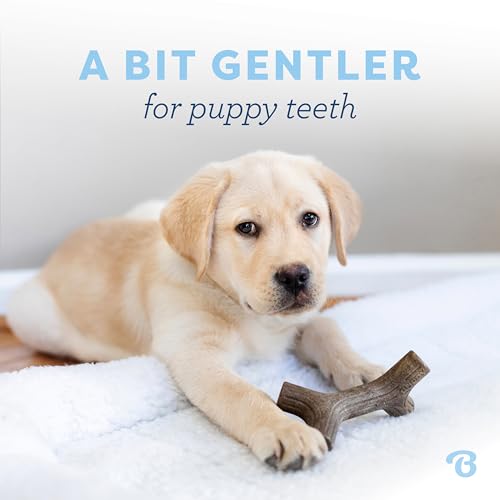 Puppy Maplestick Dog Chew Toy (Puppy Small)