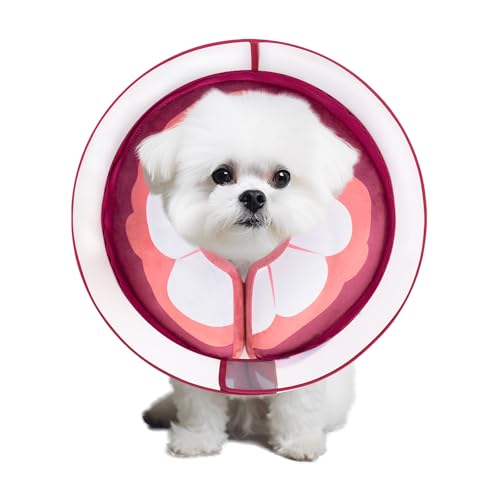 Inflatable Dog Cone Collar for Large Medium Small Dogs (Mangosteen / Small)