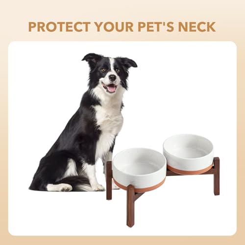 Elevated Dog Bowls (Double Bowls with Stand- Vanilla White / 5CUPS)