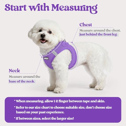 Dog Harness Medium Sized and Leash Set (Purple / Xxl (chest: 21.6 - 23.7"))