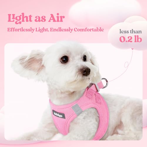 Dog Harness Medium Sized and Leash Set (Light Pink / Xxl (chest: 21.6 - 23.7"))