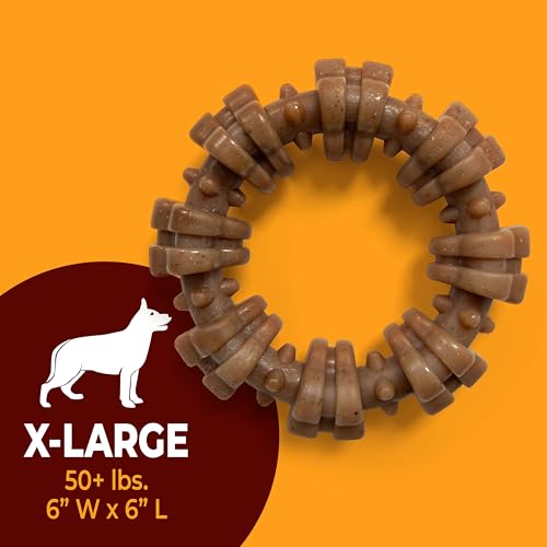 Strong Chew Ring Dog Chew Toy Made with Real Beef & Chicken (Textured Ring / X-Large)