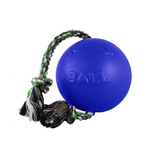 Romp-N-Roll Rope & Ball Dog Toy, 4.5 in Small, Orange (Orange / Small (4.5 in))