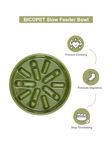 Ceramic Slow Feeder Dog Bowl (Lights-Green / Medium)