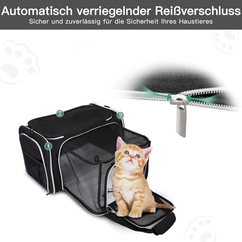 Cat Carrier Bag (Black / 17.5"L x 12.0"W x 11.5"H)