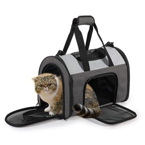 Airline Approved Soft (16.0"L x 10.0"W x 11.0"H / Smoke Grey)
