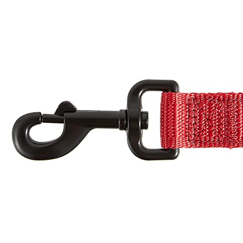 Comfort Ultra Durable Traffic Padded Handle Hands Free Quick Control Leash 6'