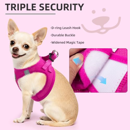Dog Harness Collar and Leash Set No Pull for Small Medium Sized (Solid DeepPink / M (CHEST 16"-18"))