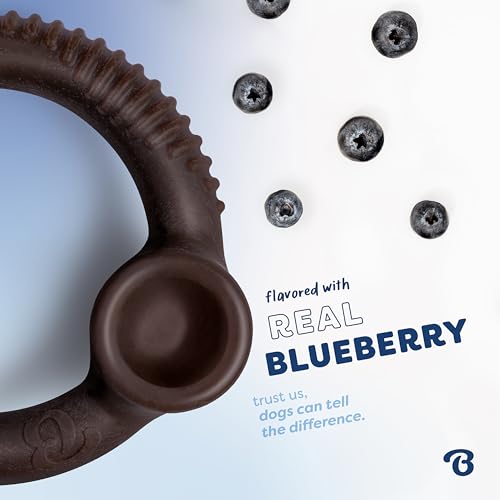 Ring Dog Chew Toy for Aggressive Chewers (REAL Blueberry / Small)