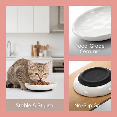 4 Pack Cat Food Bowl