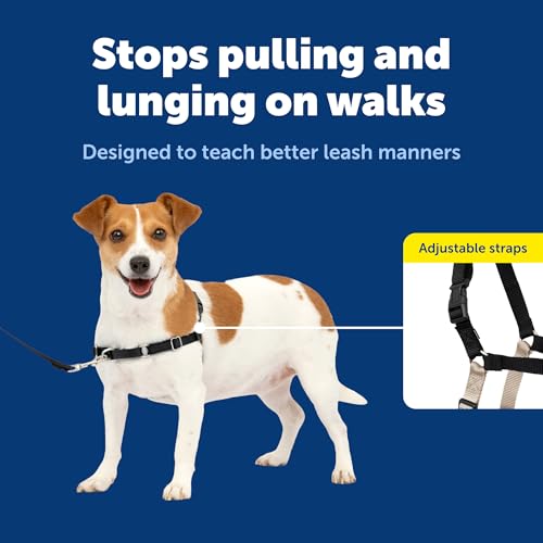 Easy Walk Harness (Small / Black/Silver)