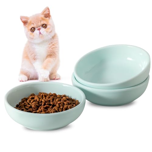 5.3 in Ceramic Cat Dishes (Light Blue)
