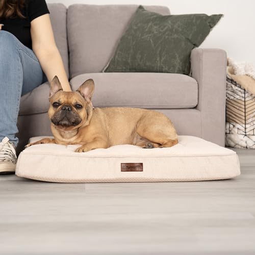 Orthopedic Dog Bed (Medium / Wheat)