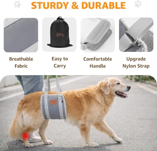 Adjustable Dog Sling for Large Dogs Hind Leg Support Weak Legs Mobility Aid (Grey & Grey / Large)