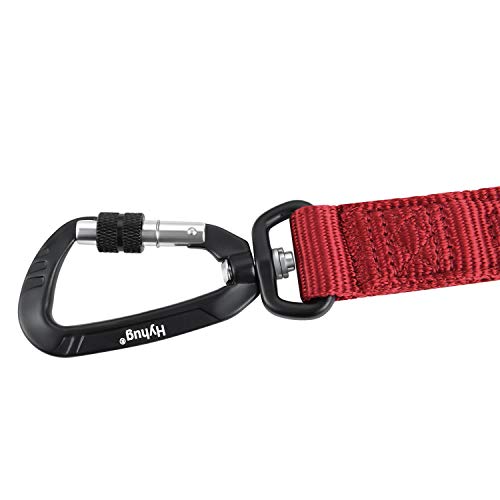 Short Dog Leash 24" (Red / 24 Inches)