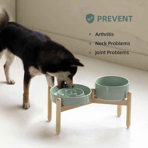 Elevated Slow Feeder Dog Bowls (Light Green)