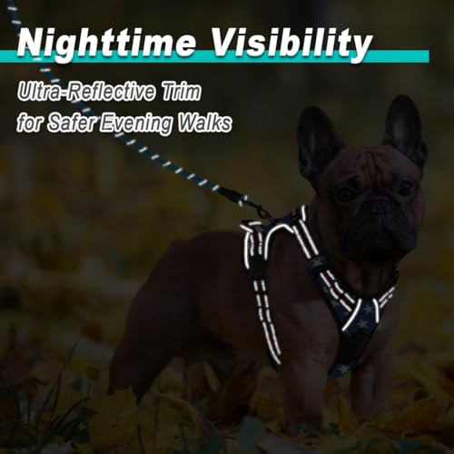Dog Harness for Small Sized Dog No Pull 2 Leash Clips Dog Vest (X-Small / Star)