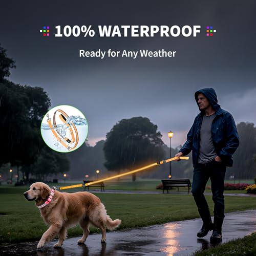 LED Dog Leash (Orange / 6 feet)
