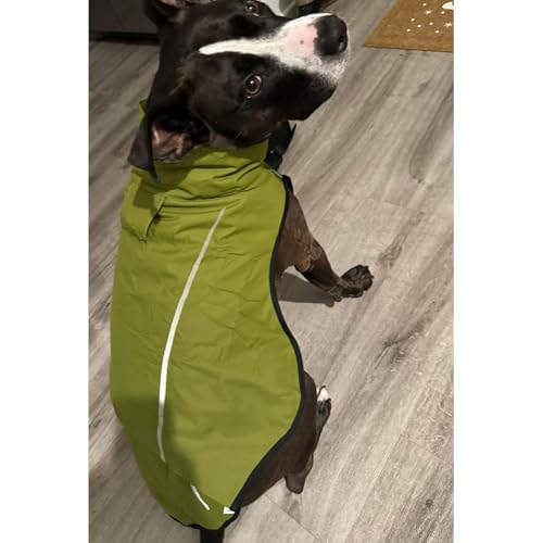Dog Raincoat Adjustable Waterproof Reflective Rain Jacket for Small Medium Large Dogs (L Chest 32"-40" / Lime Yellow)