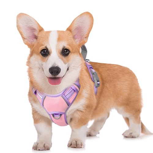 Dog Harness for Medium Sized Dog No Pull Dog Vest ID Tag Pocket (Baby Pink & Violet Purple / Medium)