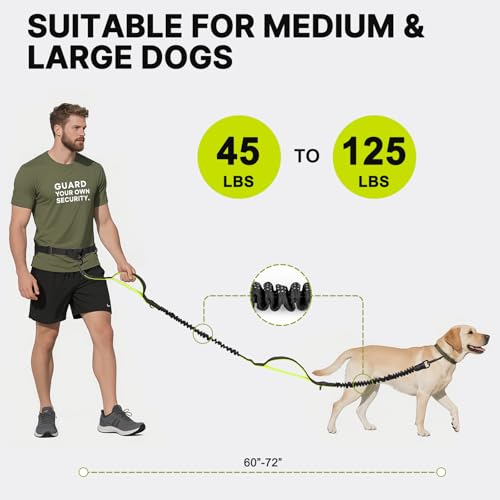 Hands Free Dog Leash for Medium Large Dogs (for One Dog / Black/Green)