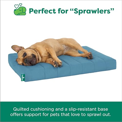 Orthopedic Dog Bed (X-Large / Lagoon)