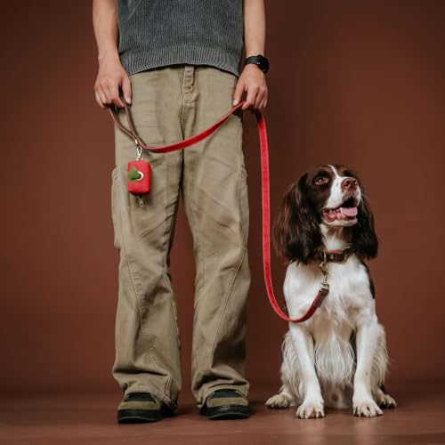 PU Leather Dog Leash for Medium Dogs (Red / 3/4''x 5FT)