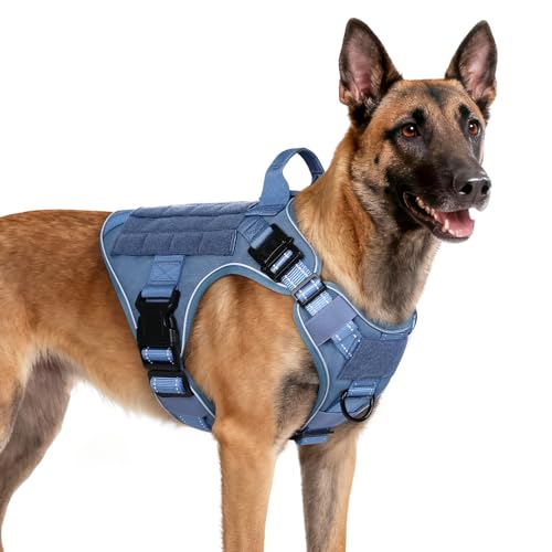 Tactical Dog Harness for Medium (Blue Reflex / Medium)