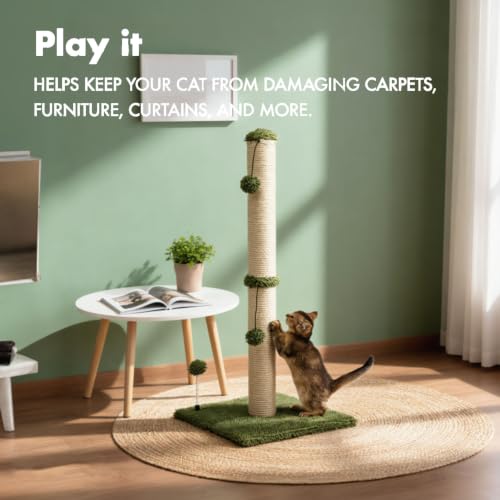 34“ Tall Cat Scratching Post Premium Basics Kitten Scratcher Sisal Scratch Posts Trees with Hanging Ball for Indoor Cats (34 inches for Adult Cats / Cactus Green)