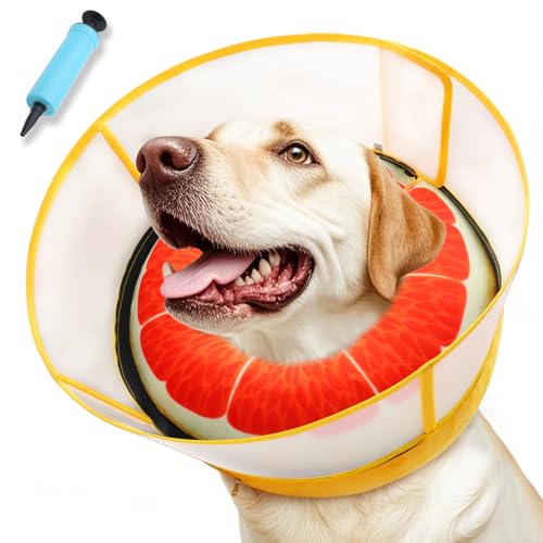 Upgraded Inflatable Dog Cone Collar to Stop Licking (M (Neck: 8-11") / Grapefruit)