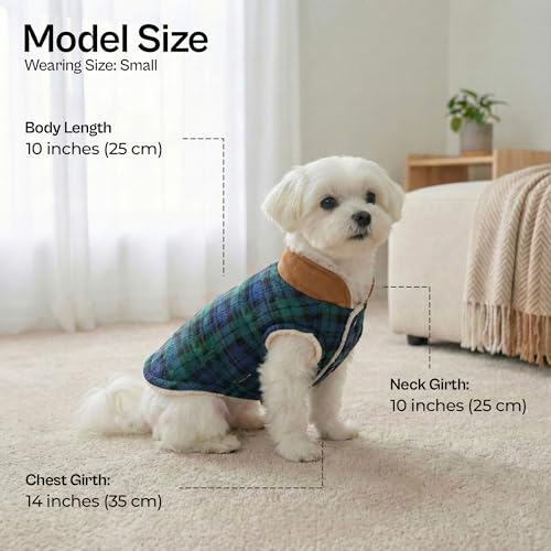 Dog Jacket Scottish Green Plaid Dog Winter Coat (S / Scottish Green)