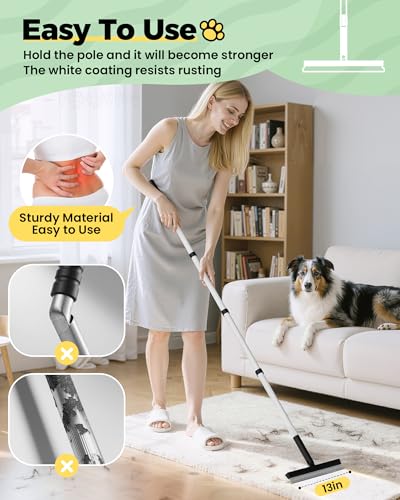 Carpet Rake for Pet Hair Removal Tool (Black)