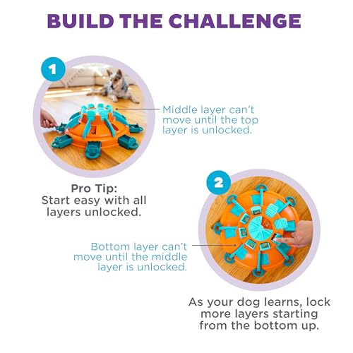 Nina Ottosson Tower of Treats Dog Toy Treat Puzzle (Tower of Treats (Orange, Blue) / 1 Count (Pack of 1))