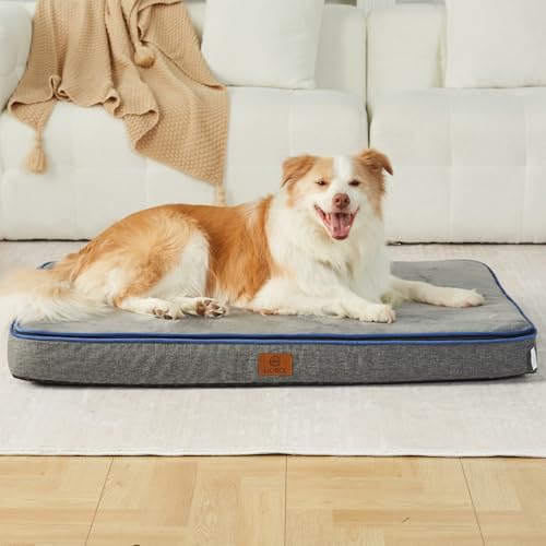 Memory Foam XL Dog Bed (41.0"L x 27.0"W x 4.0"Th / Dark Grey)