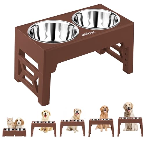 Elevated Dog Bowls (2 Stainless Steel Bowls / Brown)