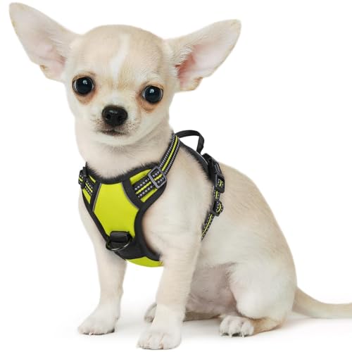 Dog Harness for Small Dogs (X-Small / Green)