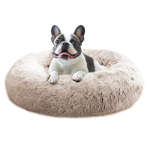 Calming Small Dog & Cat Bed for Indoor Cats (cream brown / 20.0"L x 20.0"W x 6.0"Th)
