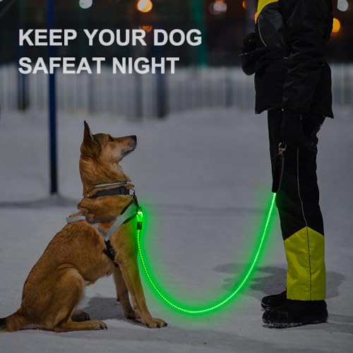 Light Up Dog Leash (Colorful / 5 feet)