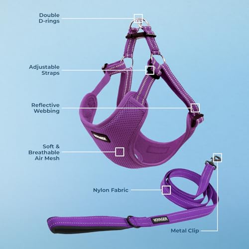Voyager Adjustable Step (Harness Leash Set (Purple) / XL)
