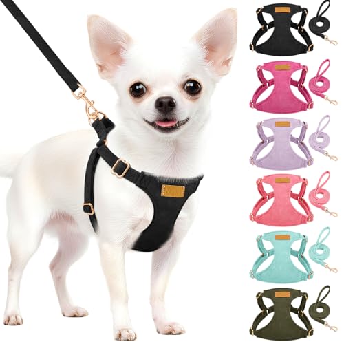 No Pull Dog Harness with Leash for Small Medium Dogs (X-Small(6-11lb) / Solid Black)