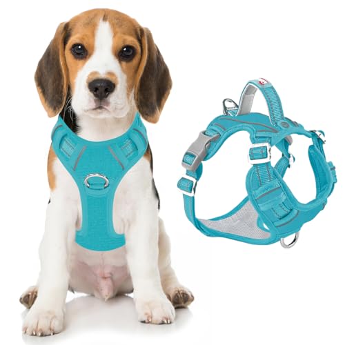 No Pull Dog Harness for Medium Sized Dogs (Medium(Chest:22.5-28") / Aqua-Oxford)