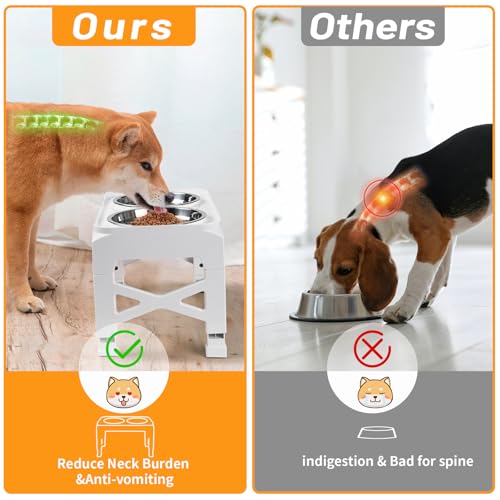 Elevated Dog Bowls with 2 Stainless Steel Dog Food & Water Raised Bowls with No Spill Edge Non (S (6" for Small Dogs) / White)