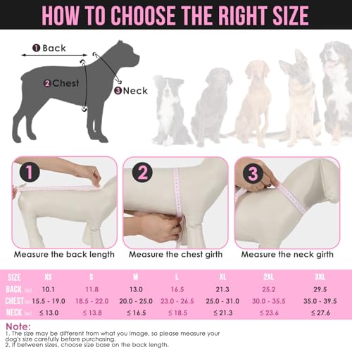 Dog Raincoat Waterproof Dog Rain Jacket with Clear Hooded (Fuchsia / Medium)