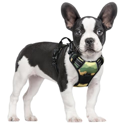 Dog Harness No Pull for Small Dogs with 2 Leash Clips (Small / Green Mountain)