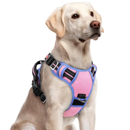 Dog Harness for Large (Light Pink & Blue / Large)