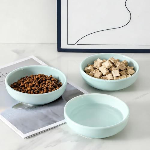 5.3 in Ceramic Cat Dishes (Light Blue)