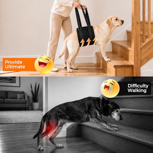 Adjustable Dog Sling for Large Dogs (X-Large)