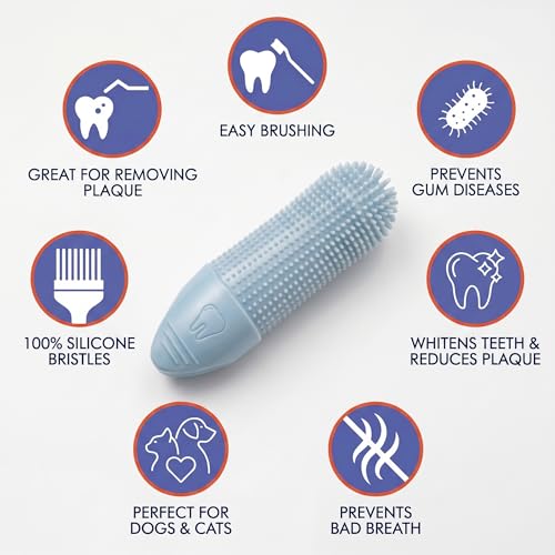 2 Pack Pet Dental Care Kit (1 Count (Pack of 2))